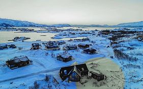 Cabin Aurora Borealis